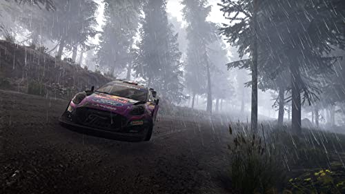 Nacon - WRC GENERATIONS para Nintendo Switch [Versión Española]