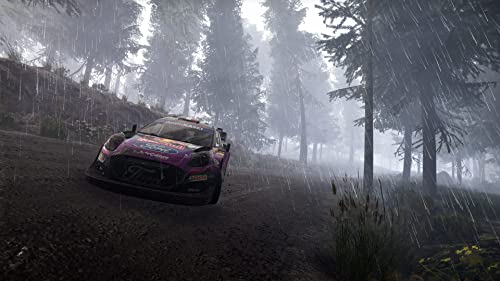 Nacon - WRC GENERATIONS para PS5 [Versión Española]