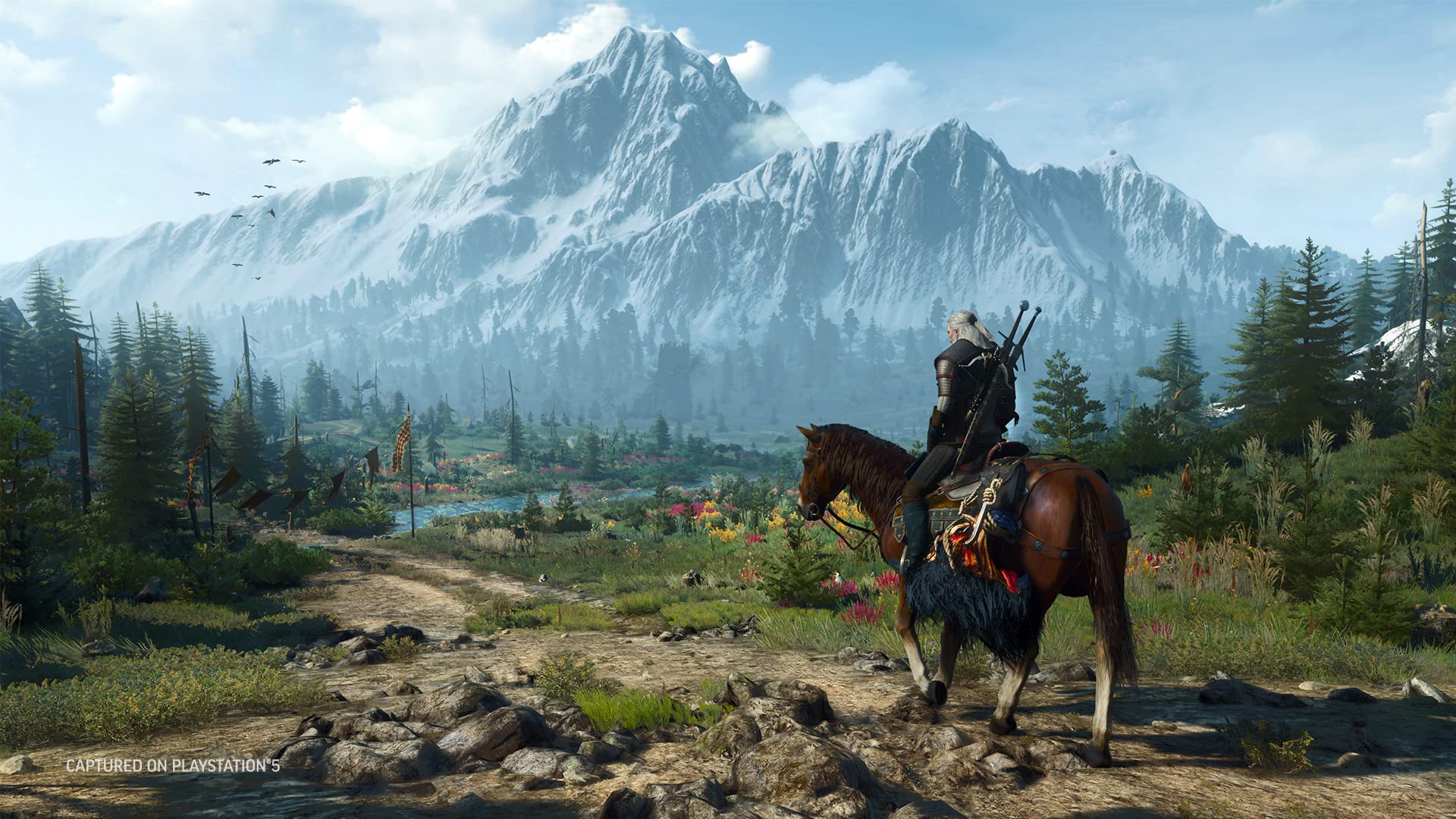 Juego NINTENDO SWITCH THE WITCHER 3: WILD HUNT